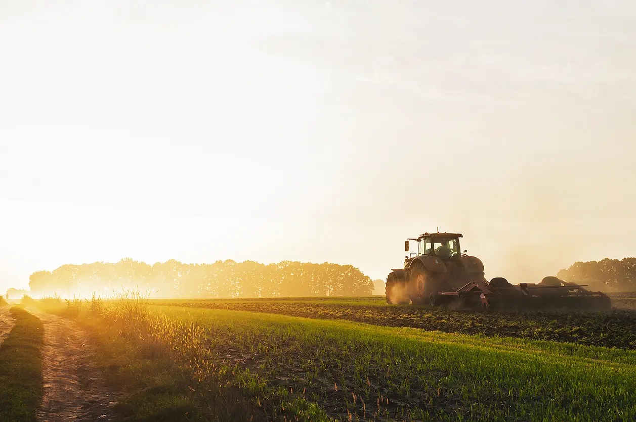 agriculture thermoforming